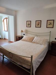 een slaapkamer met een groot bed in een kamer bij La Casa del Sole in Fresonara