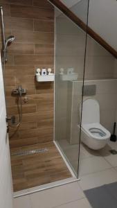 a bathroom with a toilet and a glass shower stall at Fruškogorski Đeram in Grgeteg +3 photos