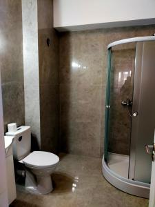 La salle de bains est pourvue d'une douche et de toilettes. dans l'établissement Casa Olanescu Vâlcea, à Râmnicu Vâlcea