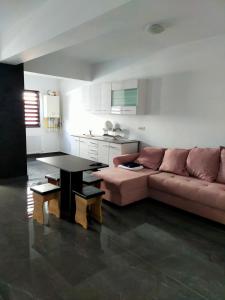 - un salon avec un canapé et une table dans l'établissement Casa Olanescu Vâlcea, à Râmnicu Vâlcea
