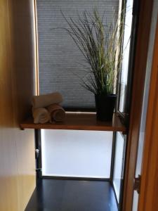 Φωτογραφία από το άλμπουμ του Tiny Apartment στη Τεργέστη +1 φωτογραφίες