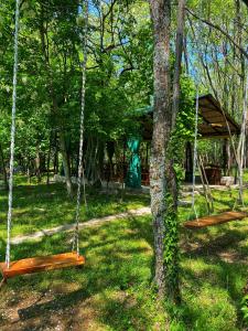 two swings hanging from trees in a park at Villa Ioseliani in Kumistavi