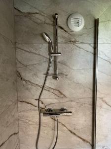 a shower in a bathroom with a glass door at Gîte à 10 min d'Europa-park in Rhinau