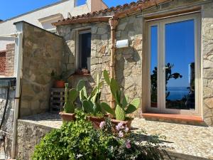 una casa de piedra con una ventana y algunas plantas en Terrazza sul mare Scopello en Scopello