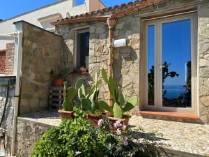 a stone house with a window and some plants at Terrazza sul mare Scopello in Scopello