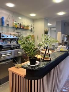 Kuchyň nebo kuchyňský kout v ubytování Hotel Capri