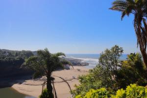 uma vista para uma praia com palmeiras e para o oceano em Launa La Crete 78 em Margate