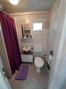 a bathroom with a toilet and a sink at Apartments Dalamar in Babino Polje