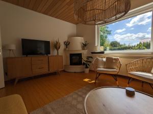een woonkamer met een televisie en een open haard bij Haus Willi von Tinyhaus Steinhude in Steinhude