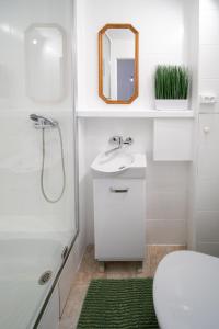La salle de bains est pourvue d'un lavabo, de toilettes et d'une douche. dans l'établissement Jungle Vision Apartment - Rynek, à Carolinensiel