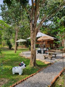 Malulee KhaoSok Resort في خاو سوك: تمثال بقرة في العشب بجانب شجرة