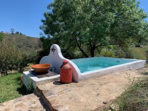 ザンブジェイラ・ド・マールにあるThe Stream House - Montes da Ronhaの水鉢と花瓶が隣接するプール