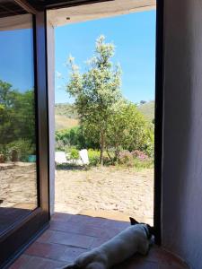an open door with a view of a beach at The Stream House - Montes da Ronha in Zambujeira do Mar