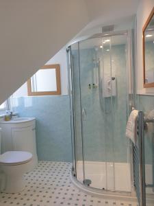 a bathroom with a shower and a toilet at Carnaburg Guesthouse in Tobermory