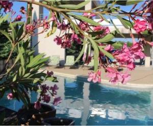 Bazén v ubytovaní Gîte Les Vignes Piscine et Spa alebo v jeho blízkosti