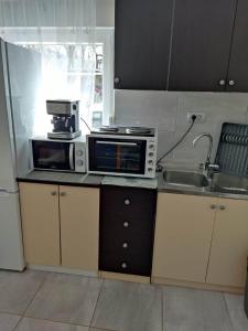 La cuisine est équipée de 2 fours micro-ondes et d'un évier. dans l'établissement Apartman David-Dražice, à Dražice