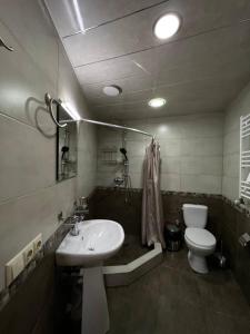 a bathroom with a sink and a toilet at Bethlehem Terrace in Tbilisi City