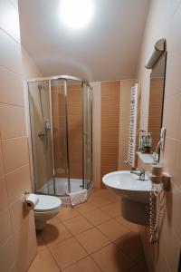 a bathroom with a shower and a toilet and a sink at U Ojdanów in Węgrów