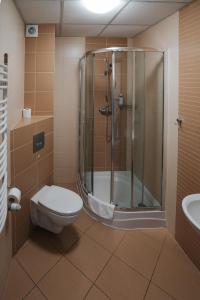 a bathroom with a shower and a toilet and a sink at U Ojdanów in Węgrów