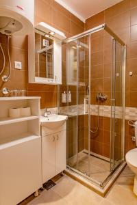 uma casa de banho com um chuveiro e um lavatório. em Hotel AirStar em Surčin