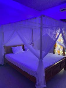a bedroom with a canopy bed with purple lighting at purple villa in Mirissa