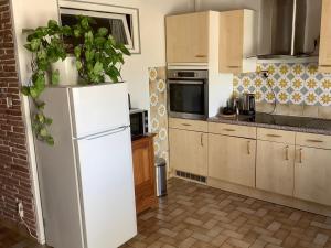 uma cozinha com um frigorífico branco com plantas em LES AMOUREUX DU VIEUX LAVOIR T3 Hyères Médiéval em Hyères