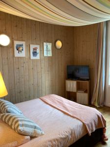 a bedroom with a bed and a television in it at Maison d'hôtes Il était une fois in Pont-lʼÉvêque