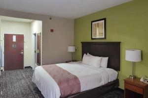 a hotel room with a large bed and green walls at Quality Inn & Suites Quantico in Stafford +35 photos