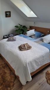 Кровать или кровати в номере Zum Schwalbennest