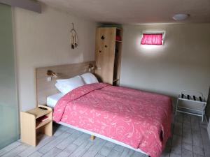 a bedroom with a bed with a pink blanket at Le Brissoneau Rendeux in Rendeux