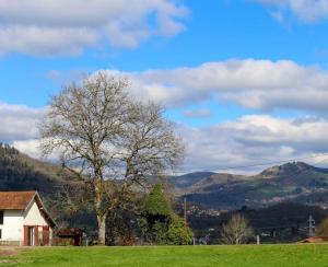 a tree in a field next to a house at Gîte de la Ravanne in Ramonchamp