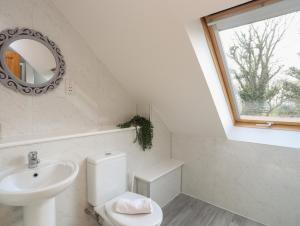 ein Badezimmer mit Toilette, Waschbecken und Spiegel in der Unterkunft Long Cottage in Beaumaris + 20 Fotos