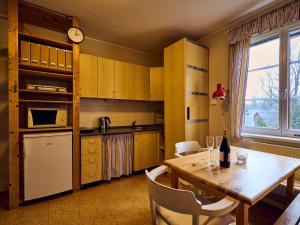 Kuchyňa alebo kuchynka v ubytovaní Apartment Harrachov 141 by Interhome