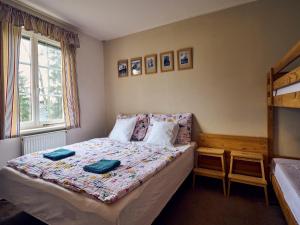 Posteľ alebo postele v izbe v ubytovaní Apartment Harrachov 141 by Interhome