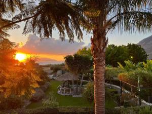 a palm tree with the sunset in the background at Sunny Garden Aparthotel in Ancient Epidauros