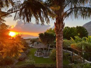 una palmera con la puesta de sol en el fondo en Sunny Garden Aparthotel, en Palaia Epidavros