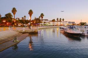 un grupo de barcos atracados en un puerto deportivo con palmeras en 10 MARIA - Faro en Faro