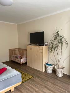 a bedroom with a flat screen tv and a crib at Keresztes Lak in Badacsonytördemic