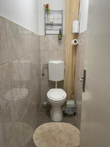 a small bathroom with a toilet and a shower at Bor-Túra Apartman in Badacsonytördemic