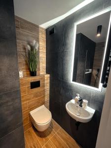 a bathroom with a white toilet and a sink at Stylowy Apartament w Serocku in Serock