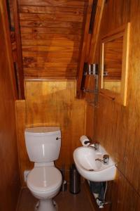 a bathroom with a toilet and a sink at 3 Bedroom chalet in Graskop