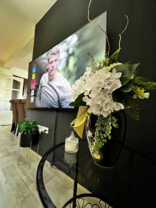 Televízia a/alebo spoločenská miestnosť v ubytovaní Apartman Pannonica Pin 0-24h