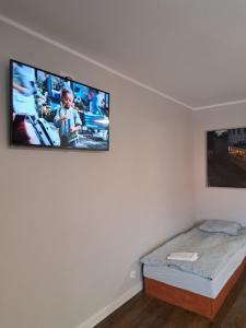 日拉爾杜夫的住宿－Noclegi przy Browarnej，一间卧室配有一张床和一台平面电视