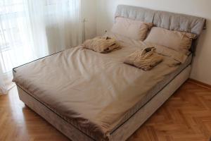 Llit o llits en una habitació de Cacak Central