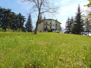 a house on a hill with a field of flowers at Casa Appenninia in Albareto