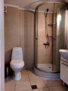 un bagno con wc e doccia di Apartment in Siviri sea view a Siviri Altre 28 foto