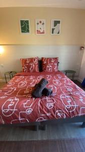 łóżko z dwoma kotami leżącymi na nim w obiekcie Joli studio Camargue Lou Rouge Arles w mieście Arles