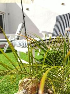 a plant in front of two chairs in a room at Vakantiewoning CasaLucka4enjoy private pool and mountain view regio Calpe-Jalon in Jalón