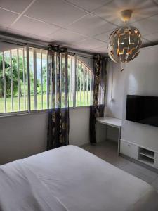 um quarto com uma cama, uma televisão e janelas em Hello-Guyane, Marina 5, Studio Prestige 5 étoiles em Saint-Laurent du Maroni