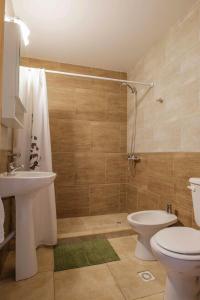 a bathroom with a toilet and a sink and a shower at Alojamiento Amor Amarillo in El Bolsón